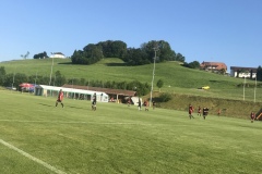 9270AEB7-19D0-4D73-ACC8-5DDC51850CD8