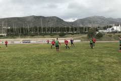 0A8F3CB8-6D92-4315-BFB9-01DDD5EE0AB2