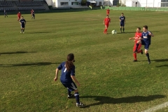 8E90B863-0D8E-4804-9A45-3A19EFA1C255